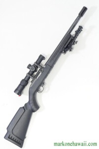 10-22Tactical2/.22LR